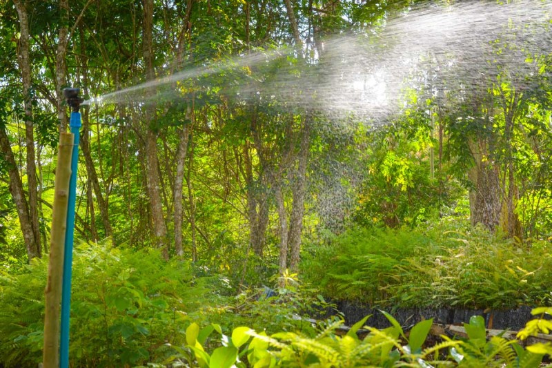 Secretaria Municipal de Meio Ambiente instala irrigação automatizada no herbário