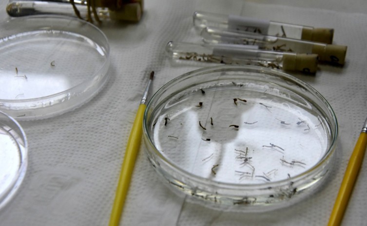 Saúde descentraliza entrega de amostras biológicas