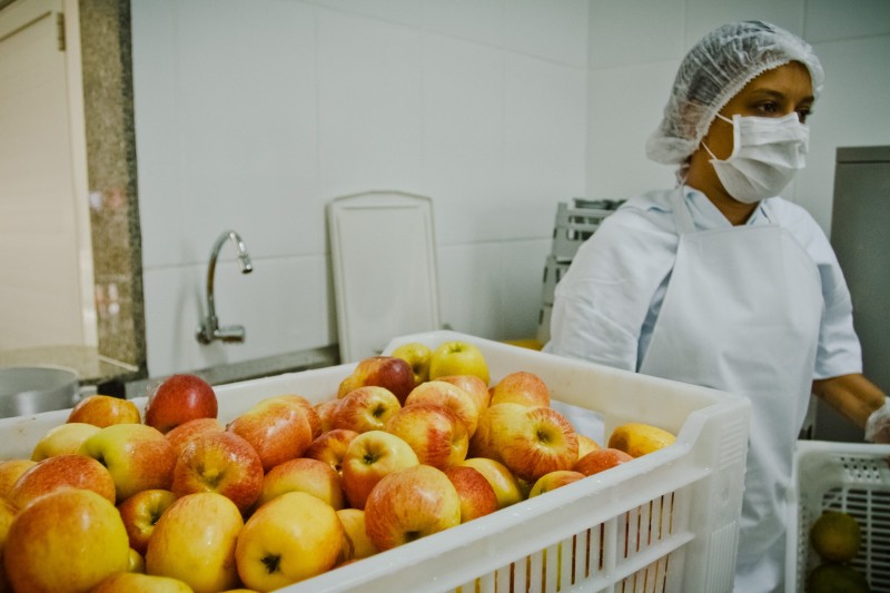 Biogás do bagaço de maçã pode minimizar uso de combustível fóssil na indústria
