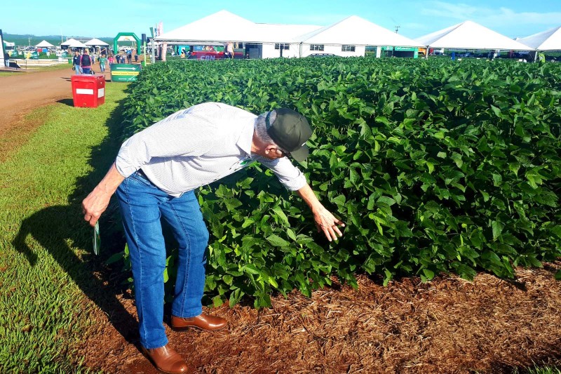 Estado participa de evento da Cocamar que amplia discussões sobre sustentabilidade no campo