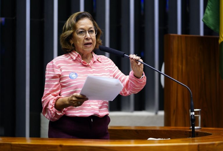 Projeto facilita acesso de estudantes a conteúdo online sobre símbolos nacionais
