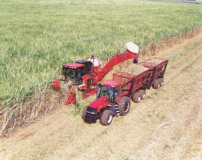 Exportações do agronegócio mineiro alcançam novo recorde, com US$ 15,3 bilhões em 2022