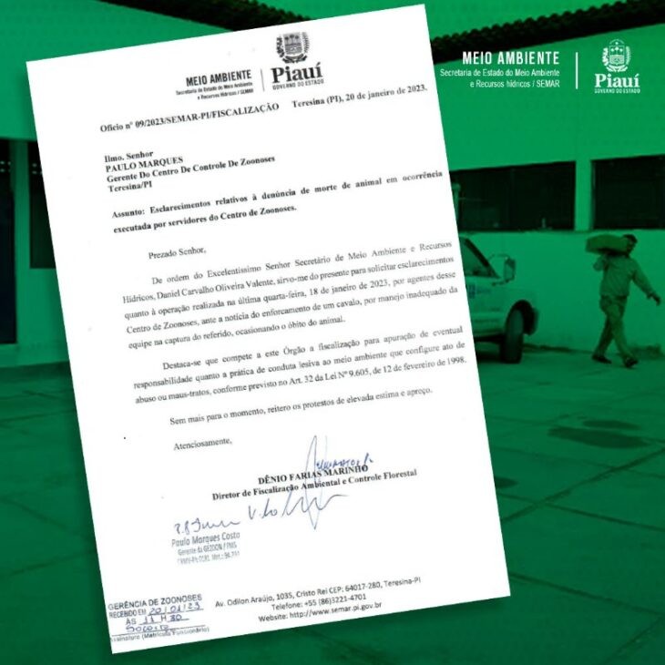 Semar notifica Centro de Zoonoses de Teresina sobre morte de cavalo