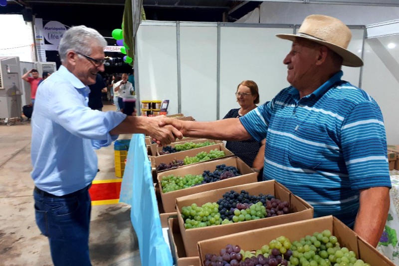 Com participação do Estado, Mariópolis promove Festa da Uva no Sudoeste