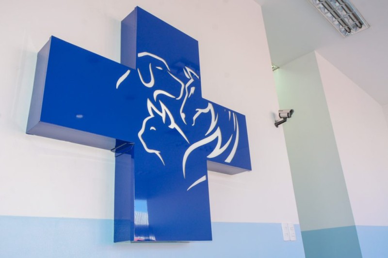 Provas da seleção de profissionais para atuar no Centro de Apoio à Saúde Animal acontecem neste domingo