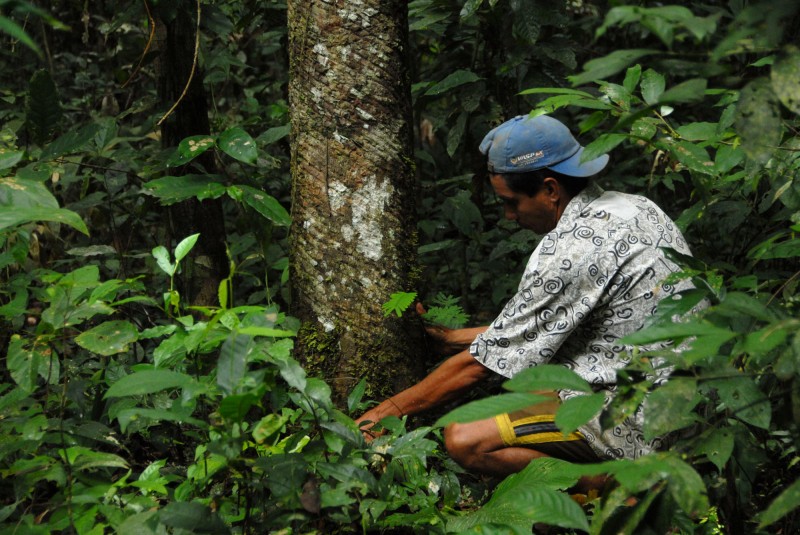 KfW realiza a primeira reunião de acompanhamento executivo do Programa REM Acre em 2023