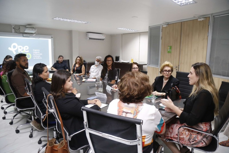 Vice-governadora reúne secretarias para apresentação do PReVio