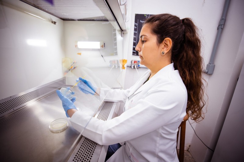 Pesquisa analisa produção de probióticos para a saúde de peixes