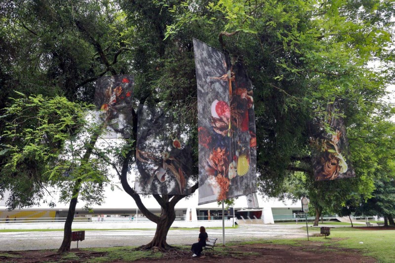 Museu Oscar Niemeyer inaugura projeto inédito com obras expostas nos jardins