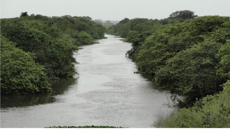 Governo cria força-tarefa para estruturação de Comitês de Bacias Hidrográficas