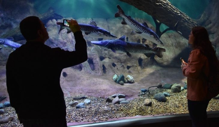 Inscrições para cadastro de professores atuarem no Bioparque Pantanal encerram em 3 de fevereiro