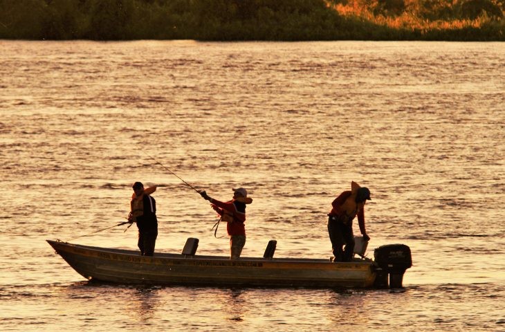Atração turística, pesque e solte abre temporada da pesca esportiva em MS