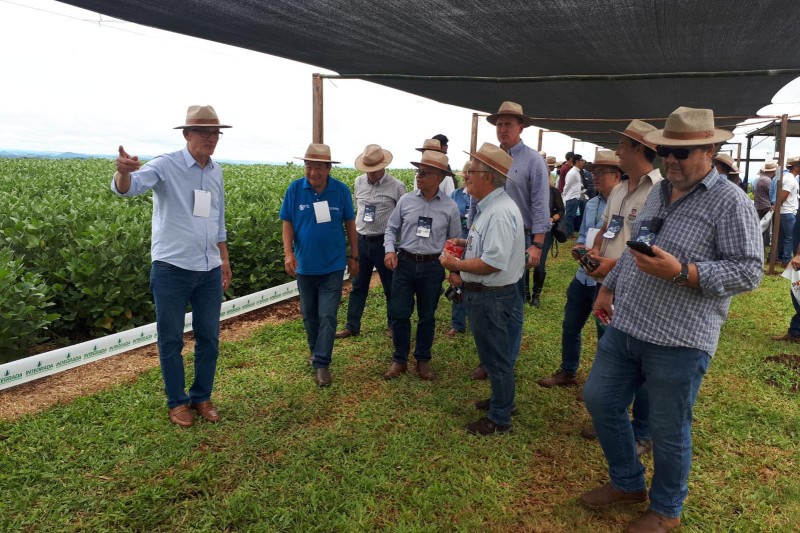 Com participação do Estado, eventos do agronegócio divulgam inovações no Norte do Paraná