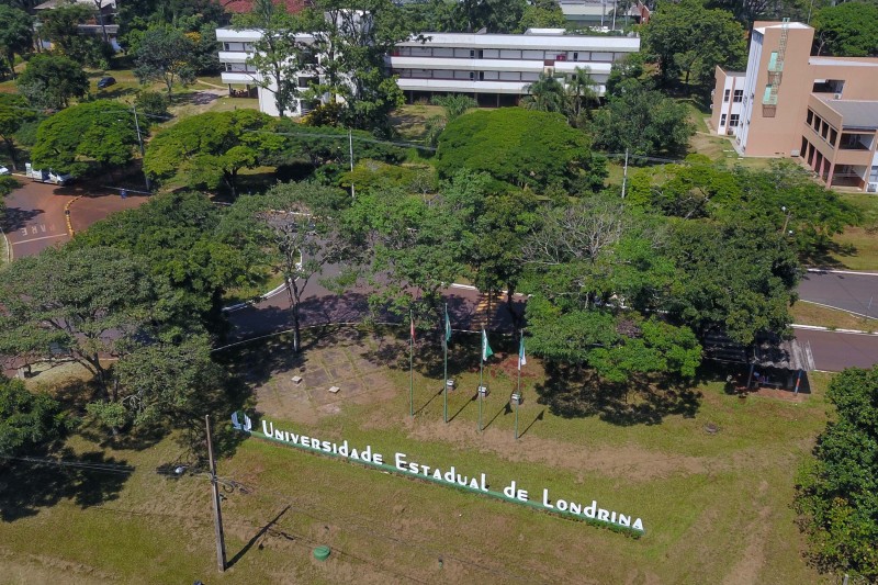 UEL abre 39 vagas de estágio remunerado para estudantes de graduação