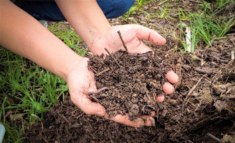 Instituto da Epamig transforma lixo orgânico em fertilizante natural eficiente 