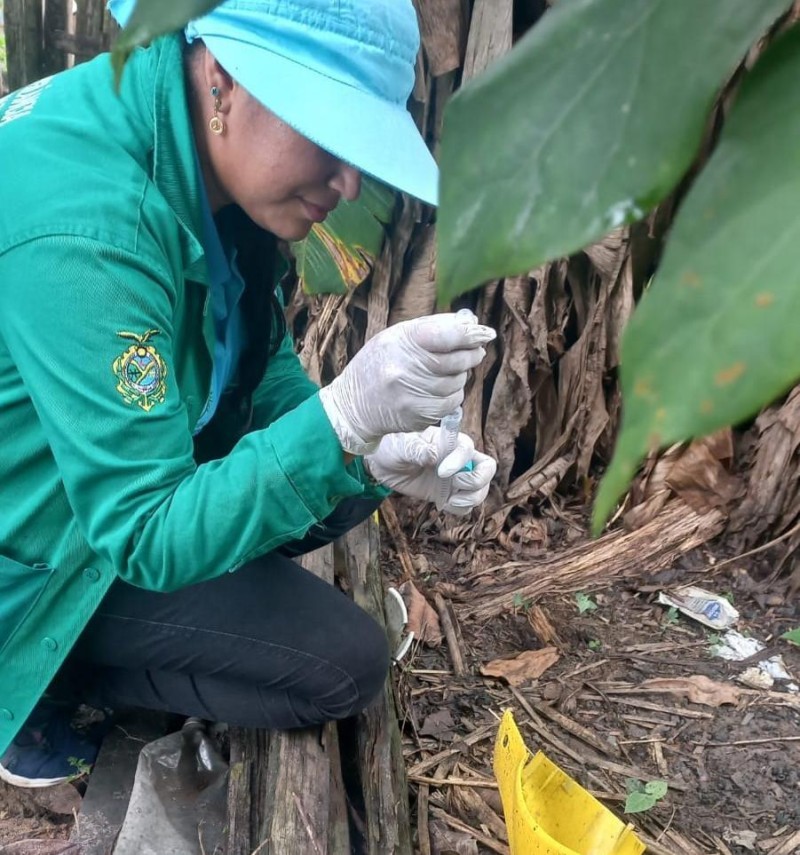 Prefeitura de Parintins reforça ações contra mosquito aedes aegypti