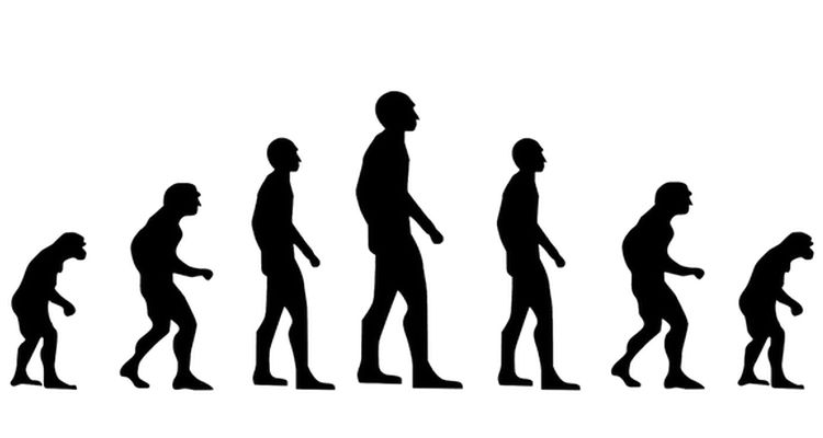 OPINIÃO CRÍTICA DO CANTINHO DO COSTA PINTO.