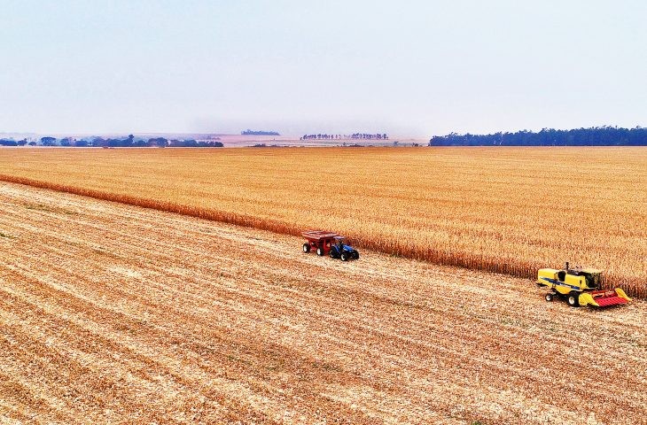 Exportações de MS iniciam o ano de 2023 com alta de 7,17% puxada por milho, celulose e carnes