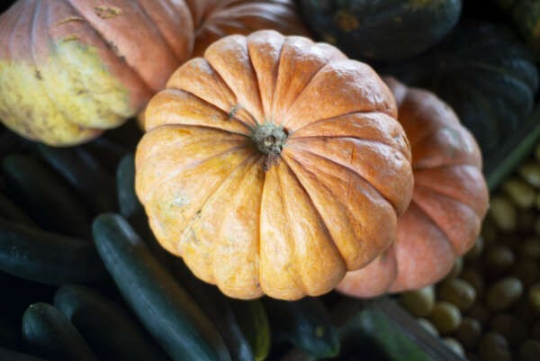 Comercializada no entreposto da Ceasa em Maracanaú, confira os benefícios da abóbora para a saúde