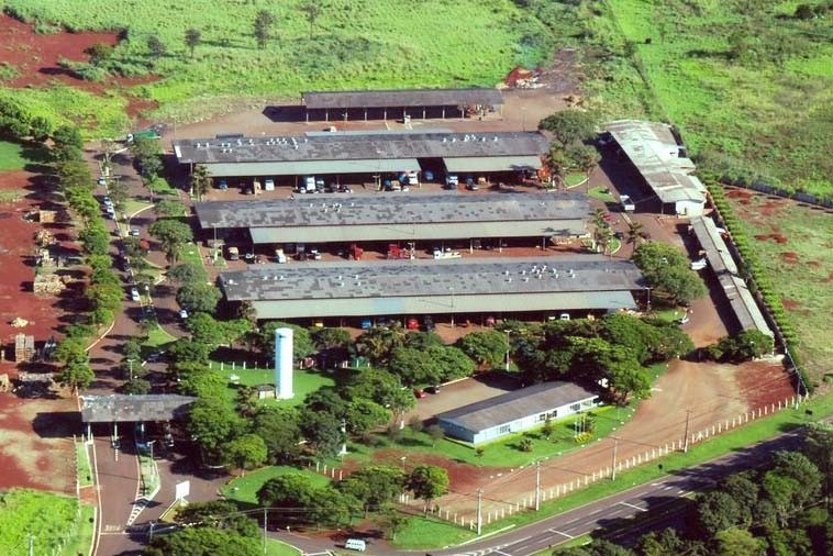 Ceasas atendem normalmente na segunda e na quarta; unidade de Maringá estará aberta na terça