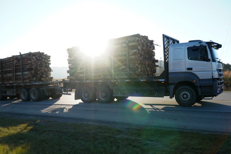 Fazenda arrecada R$ 2 milhões em uma única ação fiscal no setor madeireiro de SC