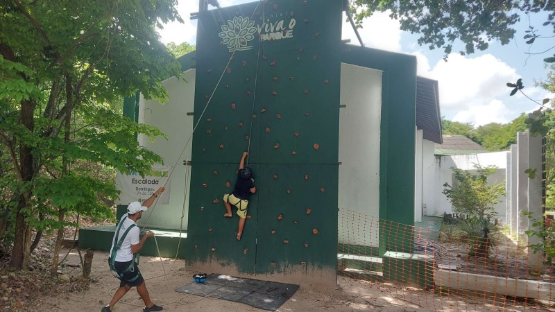 Viva o Parque no Carnaval: arvorismo funcionará sábado, domingo e terça