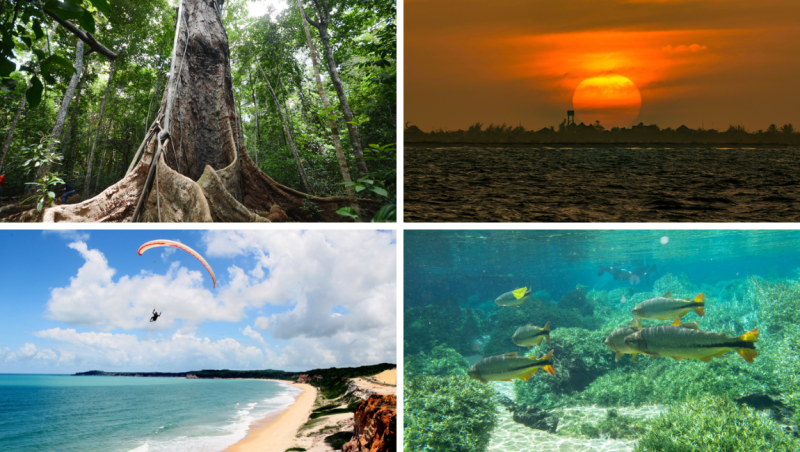 Terra, fogo, ar e água: os quatro elementos vistos nas paisagens do Brasil