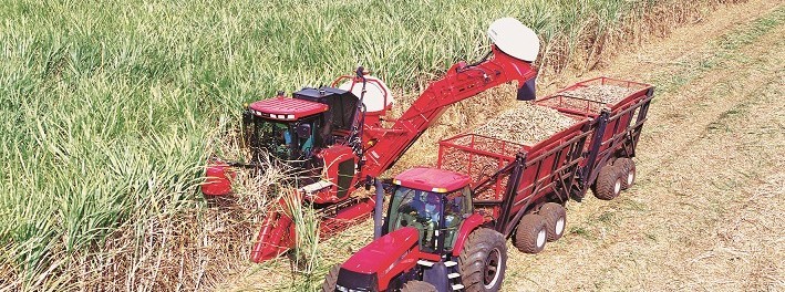 Valor Bruto da Produção agropecuária mineira deve alcançar R$ 132,1 bilhões neste ano 