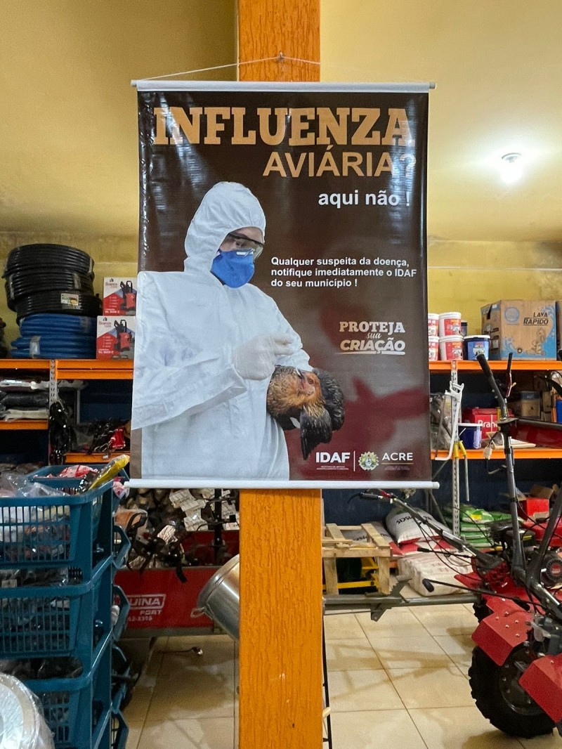Estado promove ação educativa em decorrência da gripe aviária nos países vizinhos