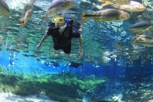 MS promove turismo em eventos na Europa para atrair público internacional