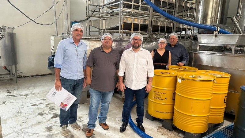 Secretaria de Educação estuda capacitar 3 mil famílias para fomentar produção de mel no Piauí