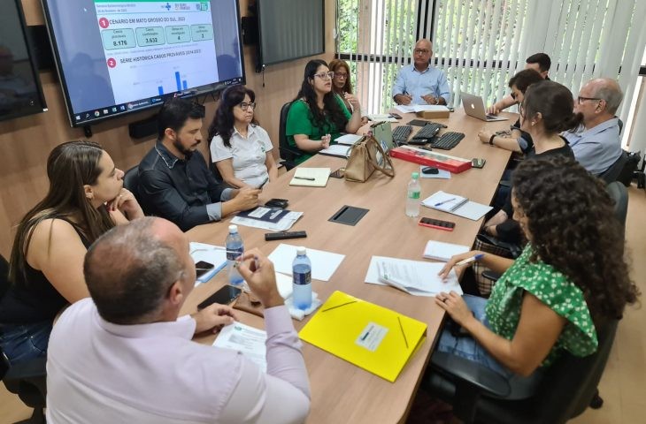 Comitê Técnico de Combate à dengue, Zika e chikungunya define estratégias para período de fortes chuvas