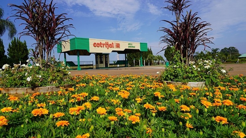 Governador e secretários participam da 23ª Expodireto Cotrijal