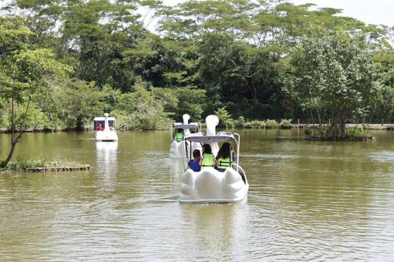 Passeio de Pedalinho é a mais nova atração do Bioparque Zoobotânico