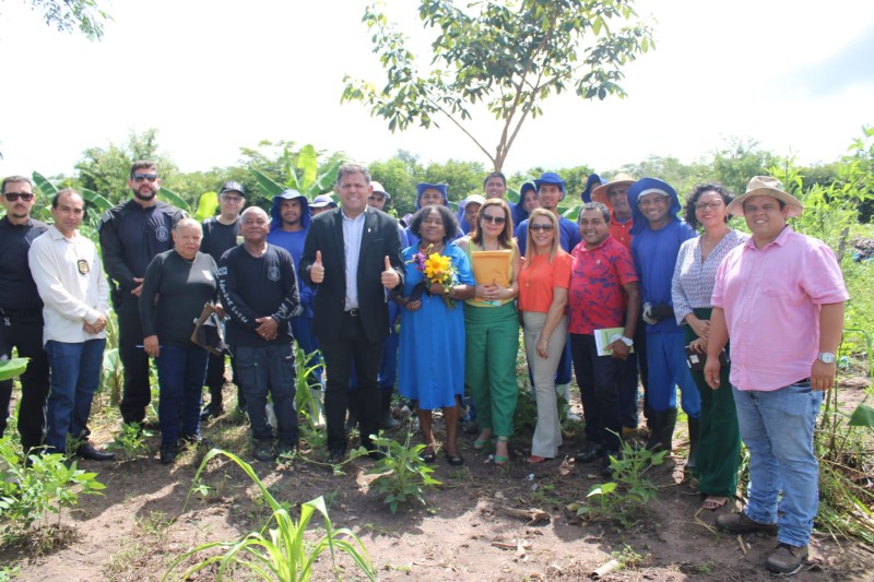 Penitenciária Irmão Guido realiza projeto de produção de alimentos orgânicos