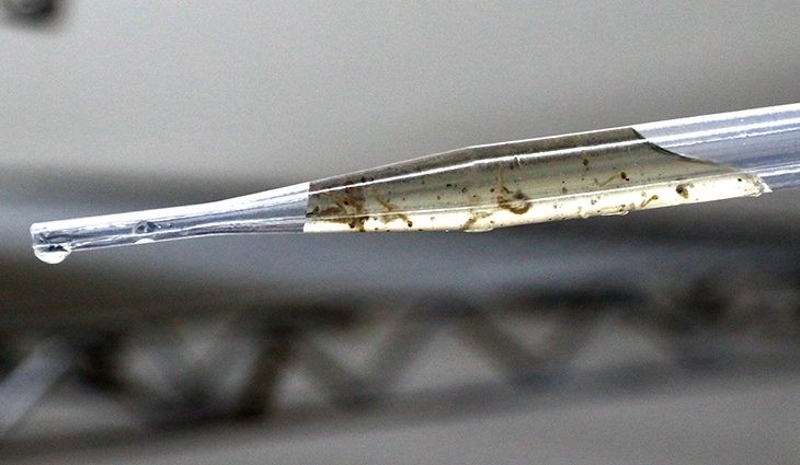 Manejo clínico da chikungunya é tema de capacitação do Governo na fronteira