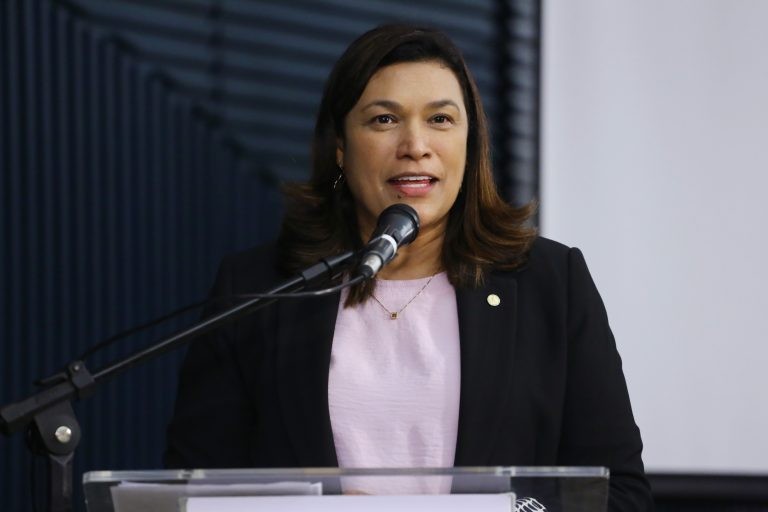 Deputadas ressaltam importância da união em torno dos projetos de interesse do público feminino