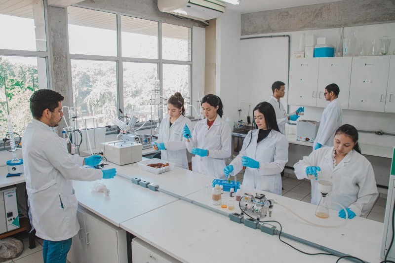 Fapeam divulga resultado de edital para apoiar a fixação de jovens doutores no Brasil