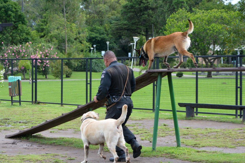 1ª Cãominhada das Forças Policiais vai movimentar São José dos Pinhais no domingo