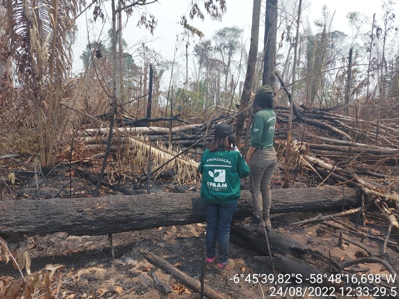 Ipaam aplica mais de R$ 76 milhões em multas durante Operação Tamoiotatá II