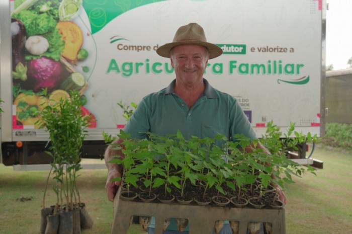 Mais de 60 mil mudas frutíferas e caixas de abelhas são fornecidas à agricultura familiar