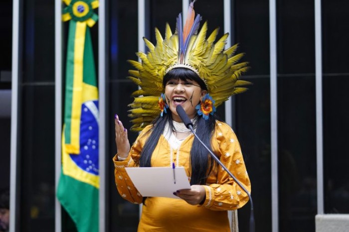 Comissão da Amazônia elege a deputada Célia Xakriabá