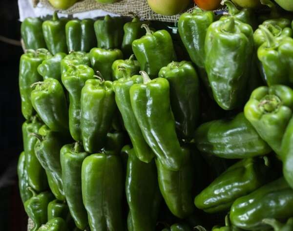 Preço do pimentão de primeira cai 41% na Ceasa em Maracanaú