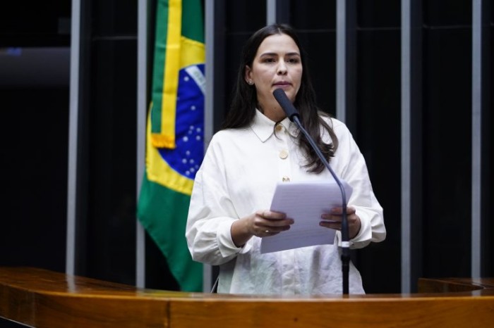 Projeto impede entrada no País de estrangeiros que tenham atentado contra Estado Democrático