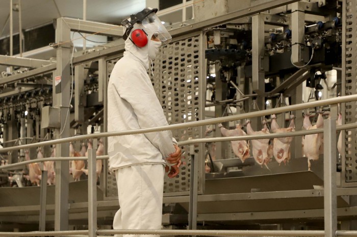 Melhor marca da história: Paraná responde por um terço da produção de frango do Brasil