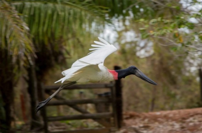 Turismo de Mato Grosso do Sul capacita agentes de viagens na Convenção Anual Schultz