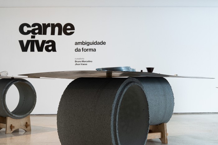 MON promove ações sobre a exposição “Carne Viva – Ambiguidade da Forma”