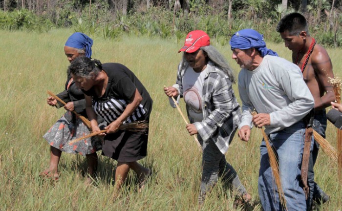 Governo do Tocantins faz mudanças no ICMS-Ecológico para valorizar os municípios que têm povos originários e turismo sustentável