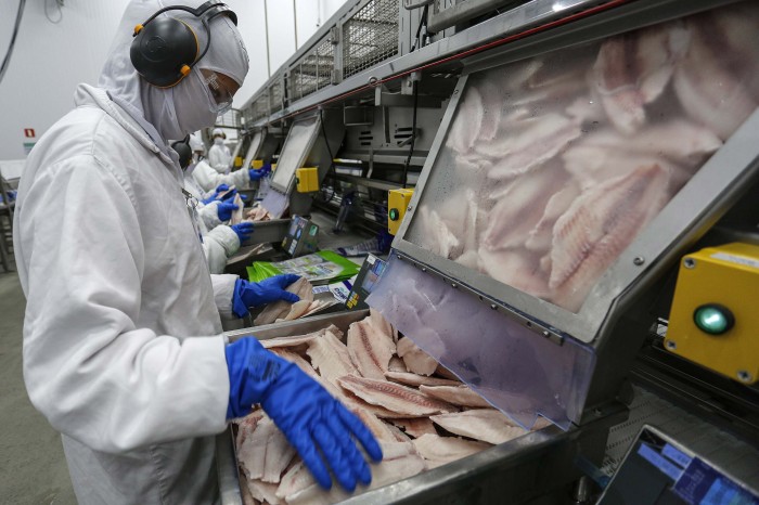 Paraná lidera produção e exportação nacional de carne de peixe