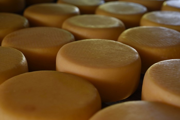 Agricultura apresenta catálogo do Queijo Minas Artesanal na Femec 